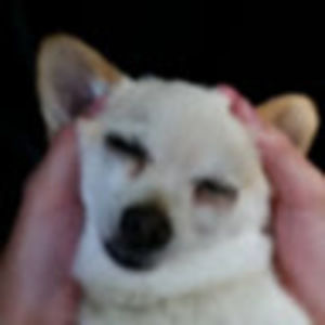 Meet your Posher, Christy